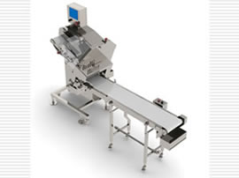 С rƬC CͣWTD-S161A